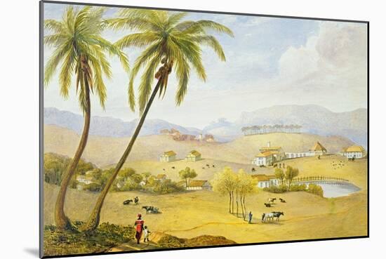 Haughton Court, Hanover, Jamaica, C.1820 (W/C on Paper)-James Hakewill-Mounted Giclee Print