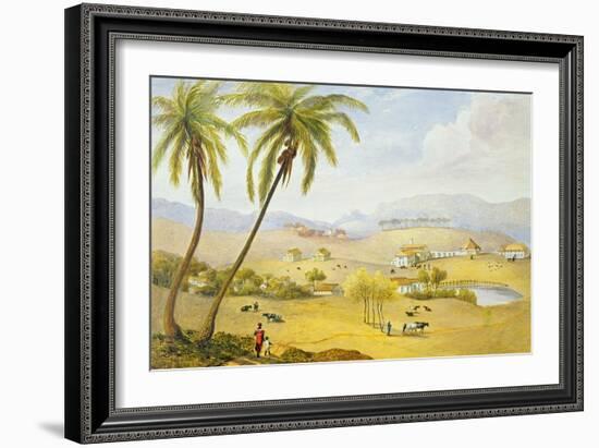 Haughton Court, Hanover, Jamaica, C.1820 (W/C on Paper)-James Hakewill-Framed Giclee Print