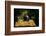 Hauling Crates of Peaches-Russell Lee-Framed Photo