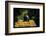 Hauling Crates of Peaches-Russell Lee-Framed Photo