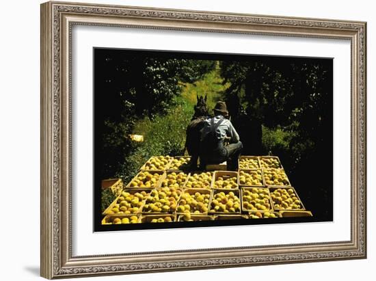 Hauling Crates of Peaches-Russell Lee-Framed Art Print