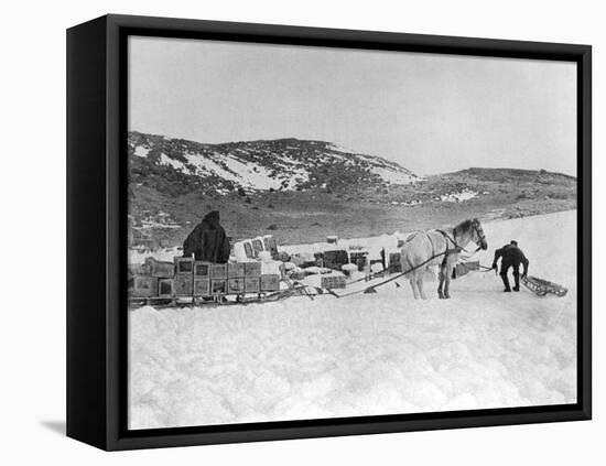 Hauling Stores-null-Framed Stretched Canvas