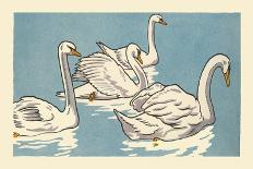 Swans Swim-Hauman-Framed Art Print