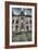 Haunted Exterior of Building-Nathan Wright-Framed Photographic Print