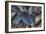 Haunted Exterior of Building-Nathan Wright-Framed Photographic Print