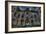 Haunted Exterior of Building-Nathan Wright-Framed Photographic Print