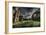 Haunted Exterior of Building-Nathan Wright-Framed Photographic Print