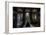 Haunted Interior Bathroom-Nathan Wright-Framed Photographic Print