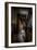 Haunted Interior Hallway-Nathan Wright-Framed Photographic Print