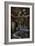 Haunted Interior Room-Nathan Wright-Framed Photographic Print