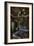 Haunted Interior Room-Nathan Wright-Framed Photographic Print