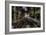 Haunted Interior-Nathan Wright-Framed Photographic Print