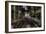 Haunted Interior-Nathan Wright-Framed Photographic Print