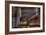 Haunted Interior-Nathan Wright-Framed Photographic Print