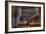 Haunted Interior-Nathan Wright-Framed Photographic Print