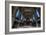 Haunted Interior-Nathan Wright-Framed Photographic Print