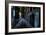 Haunted Interior-Nathan Wright-Framed Photographic Print