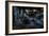 Haunted Interior-Nathan Wright-Framed Photographic Print