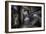 Haunted Interior-Nathan Wright-Framed Photographic Print