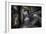 Haunted Interior-Nathan Wright-Framed Photographic Print