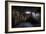 Haunted Interior-Nathan Wright-Framed Photographic Print