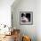 Haunted Siren-Natasha Wescoat-Framed Giclee Print displayed on a wall