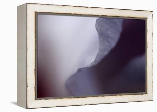 Haunting I-Judy Stalus-Framed Premier Image Canvas