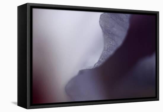 Haunting I-Judy Stalus-Framed Premier Image Canvas