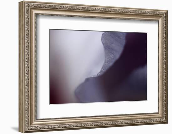 Haunting I-Judy Stalus-Framed Photographic Print