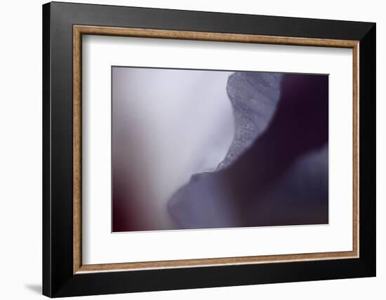 Haunting I-Judy Stalus-Framed Photographic Print