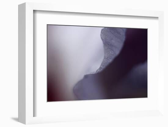 Haunting I-Judy Stalus-Framed Photographic Print