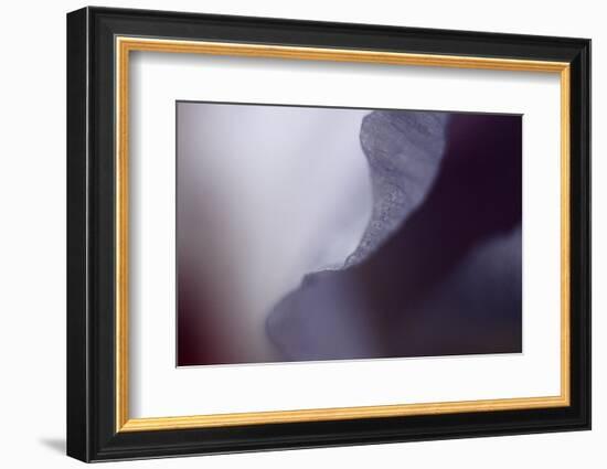 Haunting I-Judy Stalus-Framed Photographic Print