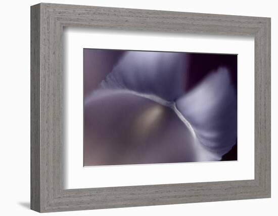 Haunting II-Judy Stalus-Framed Photographic Print