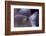 Haunting II-Judy Stalus-Framed Photographic Print