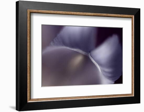 Haunting II-Judy Stalus-Framed Photographic Print