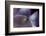 Haunting II-Judy Stalus-Framed Photographic Print