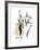 Haute Couture I-Jane Hartley-Framed Giclee Print