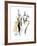 Haute Couture I-Jane Hartley-Framed Giclee Print