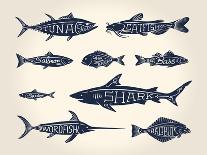 Vintage Illustration of Fish with Names in Tattoo Style over White Background-hauvi-Art Print