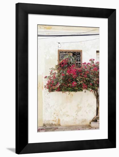 Havana Blooms-Irene Suchocki-Framed Giclee Print