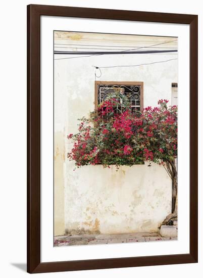 Havana Blooms-Irene Suchocki-Framed Giclee Print