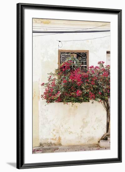 Havana Blooms-Irene Suchocki-Framed Giclee Print