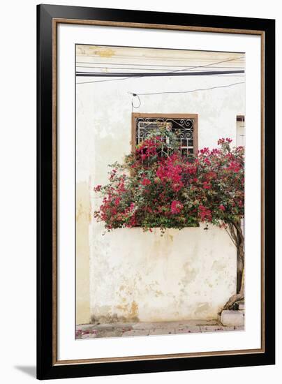 Havana Blooms-Irene Suchocki-Framed Giclee Print