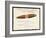 Havana Cigar, Christmas Card-null-Framed Giclee Print