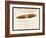 Havana Cigar, Christmas Card-null-Framed Giclee Print