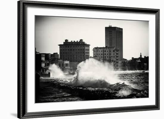 Havana Crest-Lee Frost-Framed Giclee Print