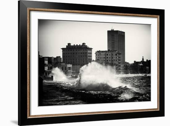 Havana Crest-Lee Frost-Framed Giclee Print