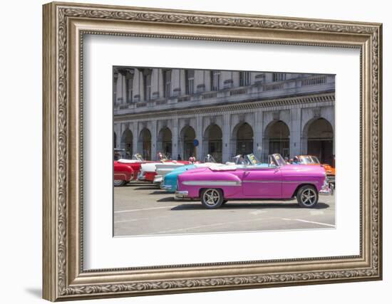 Havana, Cuba. Colorful classic 1950's cars on display.-Bill Bachmann-Framed Photographic Print