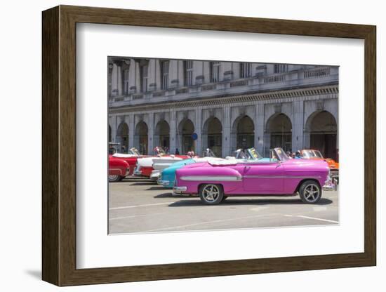 Havana, Cuba. Colorful classic 1950's cars on display.-Bill Bachmann-Framed Photographic Print
