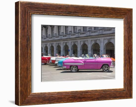 Havana, Cuba. Colorful classic 1950's cars on display.-Bill Bachmann-Framed Photographic Print